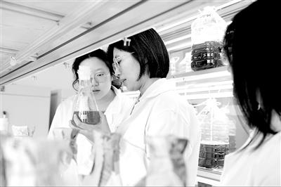 p1_b.jpg p1_b.jpg
